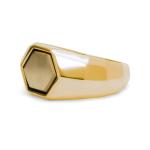 X201SGP siegelring silber goldplated SXM - Edged Collection